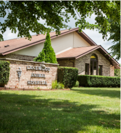 About Our Hospital in Morris, IL | Lakewood Animal Hospital